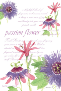 ウィローブルック フレッシュセンツL