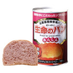 anthink-seimeipan-