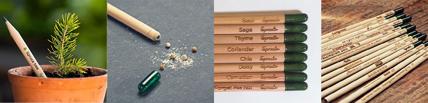 スプラウトペンシル (イメージ)