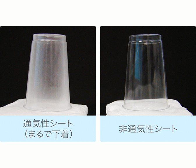 災害備蓄用 大人用紙おむつ 花王 (10年保証)