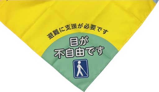一般型色覚 (C型)