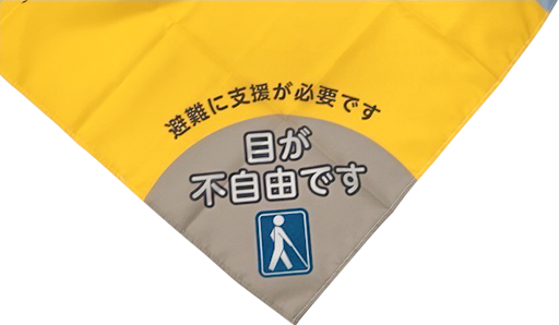 2型2色覚 (D型)