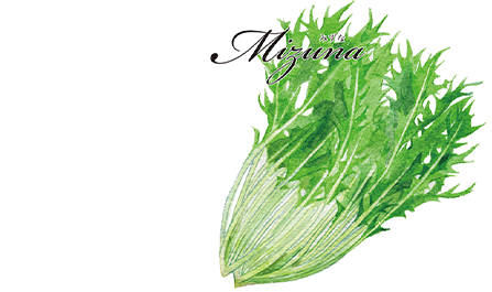 野菜の種 みずな