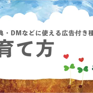 【花の種】育て方 (蒔く手順から発芽まで)