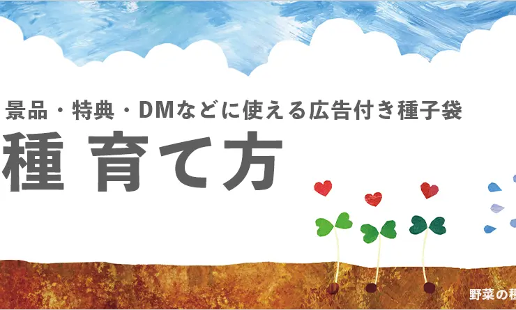 【花の種】育て方 (蒔く手順から発芽まで)
