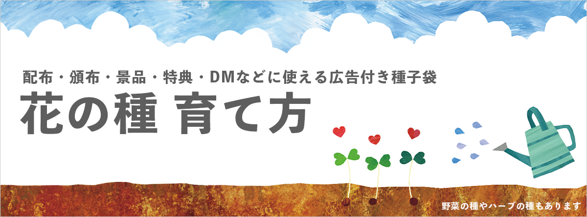 【花の種】育て方 (蒔く手順から発芽まで)