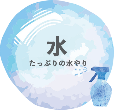 水：たっぷりの水やり