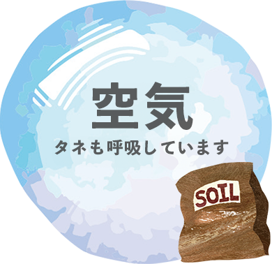 空気：タネも呼吸しています