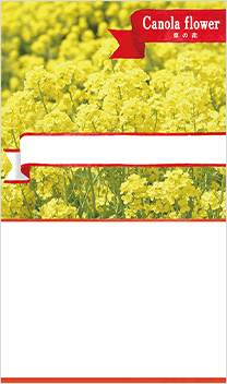 菜の花