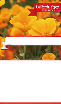 カリフォルニアポピー