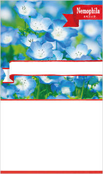 ネモフィラ