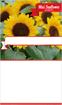 ミニひまわり