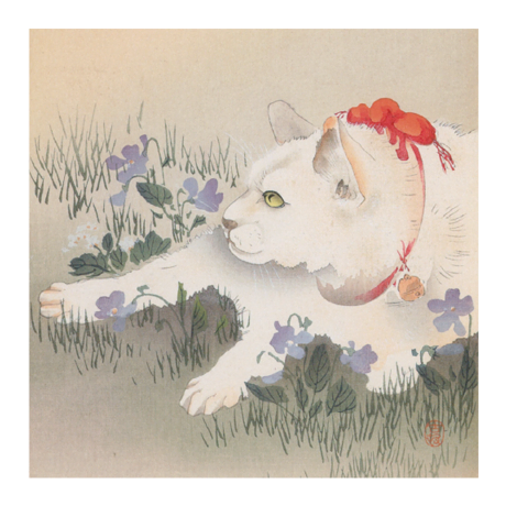 日本画 風呂敷(ふろしき) -furoshiki-