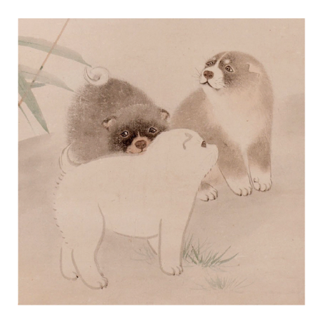 日本画 風呂敷(ふろしき) -furoshiki-