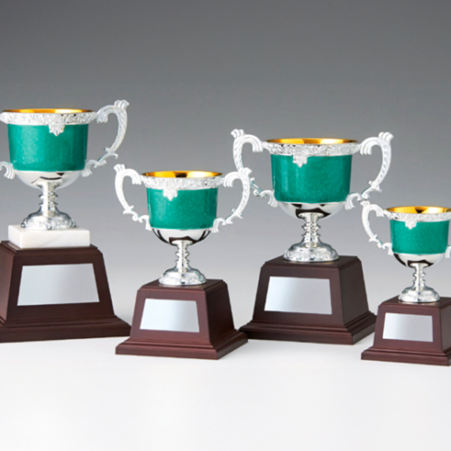 名入れ彫刻 スタンダードカラーカップ