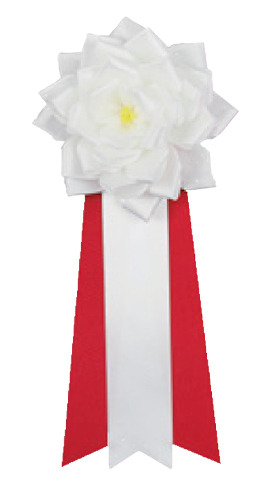 ホワイト (大・中)