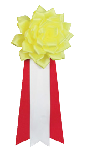 イエロー (大・中)