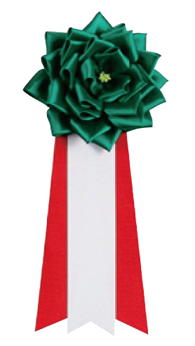 グリーン (大・中)