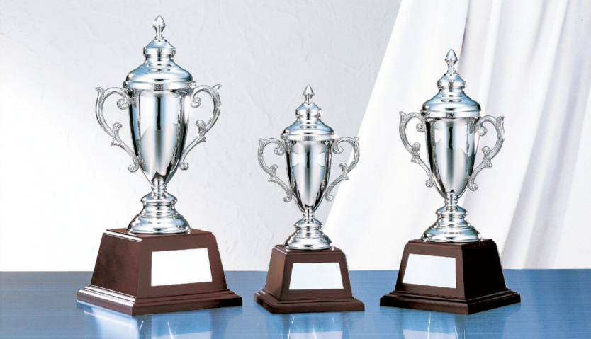 名入れ彫刻 トロフィー (NO-4203) SUNLEO