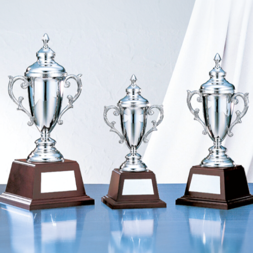 名入れ彫刻 トロフィー (NO-4203) SUNLEO