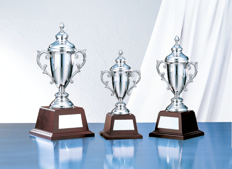 名入れ彫刻 トロフィー (NO-4203) SUNLEO