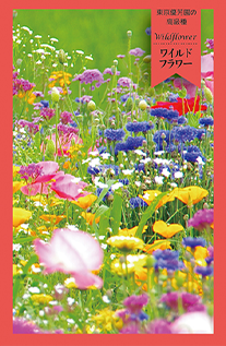 ワイルドフラワー