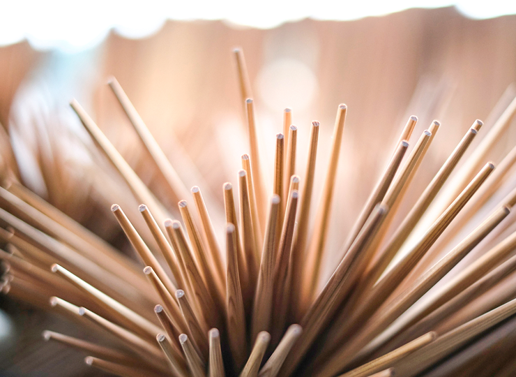 杉 五片口箸 (26cm) 吉野