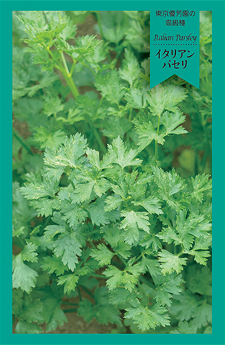 イタリアンパセリ