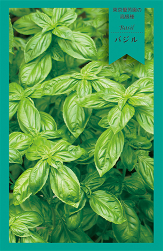 バジル