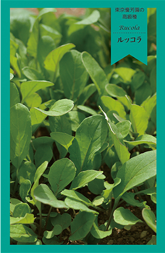 ルッコラ
