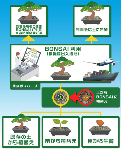 ピュアグロウ BONSAI 盆栽用無機物培地