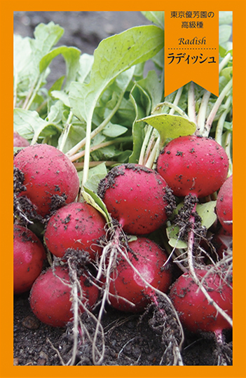 ライディッシュ