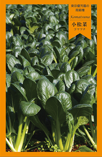 小松菜