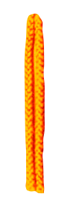 オレンジ