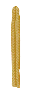 オウド