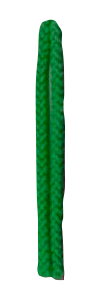 ミドリ