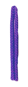 ムラサキ