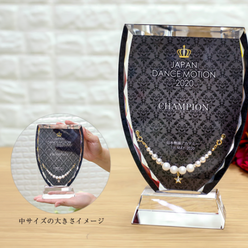 クリスタルジュエリー表彰盾 (DP-1-jw)